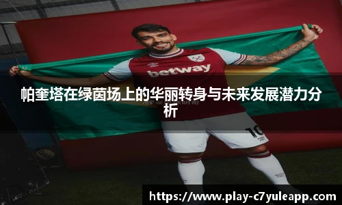 c7娱乐