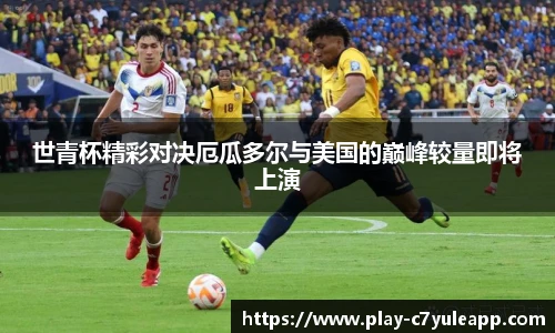 世青杯精彩对决厄瓜多尔与美国的巅峰较量即将上演
